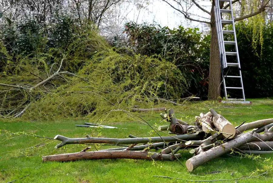 How Land Clearing Prepares Your Property For Construction Projects in Athens, TX How Land Clearing Prepares Your Property For Construction Projects in Athens, TX